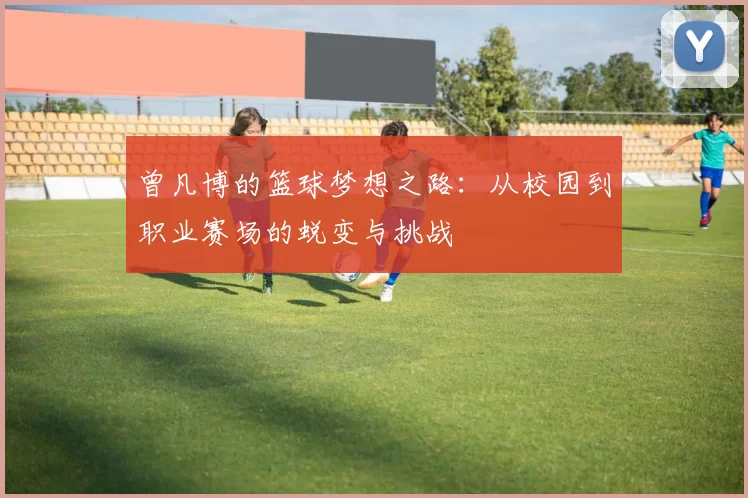 曾凡博的篮球梦想之路：从校园到职业赛场的蜕变与挑战